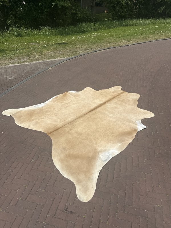 Koeienhuid beige 102